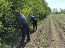 Naprawa pastucha elektrycznego, wykaszanie i oprysk