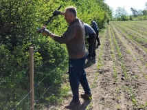 Naprawa pastucha elektrycznego, wykaszanie i oprysk