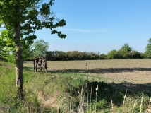 Naprawa pastucha elektrycznego, wykaszanie i oprysk
