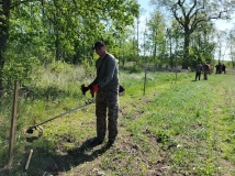 Naprawa pastucha elektrycznego, wykaszanie i oprysk