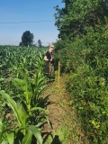 Naprawa pastucha elektrycznego, wykaszanie i oprysk