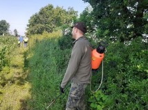 Naprawa pastucha elektrycznego, wykaszanie i oprysk
