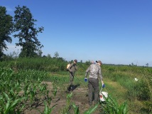Naprawa pastucha elektrycznego, wykaszanie i oprysk