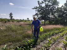 Naprawa pastucha elektrycznego, wykaszanie i oprysk