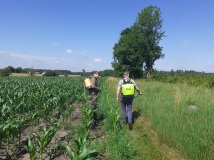 Naprawa pastucha elektrycznego, wykaszanie i oprysk
