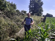 Naprawa pastucha elektrycznego, wykaszanie i oprysk