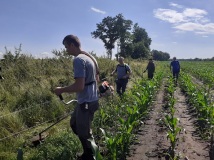 Naprawa pastucha elektrycznego, wykaszanie i oprysk