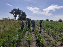Naprawa pastucha elektrycznego, wykaszanie i oprysk