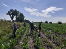 Naprawa pastucha elektrycznego, wykaszanie i oprysk