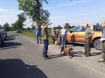 Naprawa pastucha elektrycznego, wykaszanie i oprysk