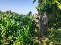 Naprawa pastucha elektrycznego, wykaszanie i oprysk