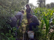 Naprawa pastucha elektrycznego, wykaszanie i oprysk