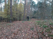 Oczyszczanie pasów zaporowych