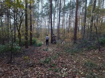 Oczyszczanie pasów zaporowych