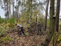 Oczyszczanie pasów zaporowych