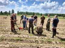 Przesiew upraw kukurydzy