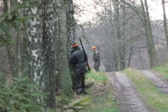 11 styczeń 2014