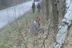 11 styczeń 2014