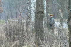 11 styczeń 2014