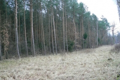 11 styczeń 2014