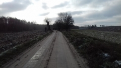12 styczeń 2019