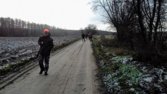 12 styczeń 2019