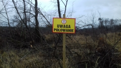 12 styczeń 2019