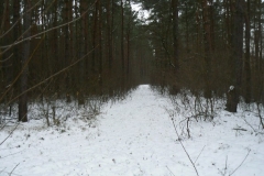 15 grudzień 2012
