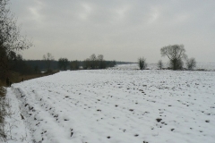 15 grudzień 2012
