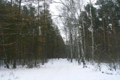 15 grudzień 2012