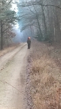17 grudzień 2016