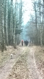 17 grudzień 2016
