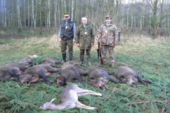 19 grudzień 2015