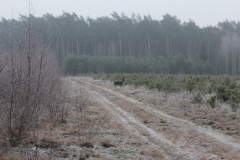 22 grudzień 2012