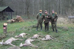 22 listopad 2014