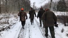 26 styczeń 2019