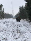 26 styczeń 2019