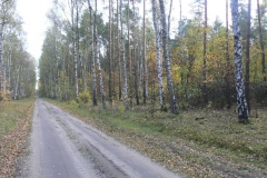 3 listopad 2012
