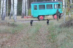 3 listopad 2012