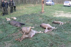 3 listopad 2012
