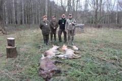 5 grudzień 2015