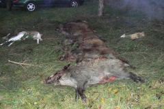5 listopad 2011
