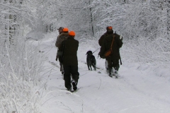 7 grudzień 2013