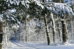 7 grudzień 2013