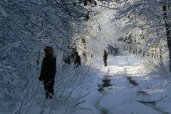 7 grudzień 2013