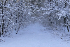 7 grudzień 2013