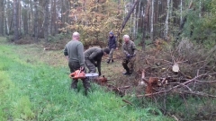 Czyszczenie pasów zaporowych