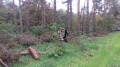 Czyszczenie pasów zaporowych