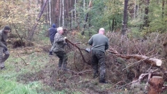 Czyszczenie pasów zaporowych