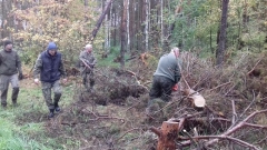 Czyszczenie pasów zaporowych